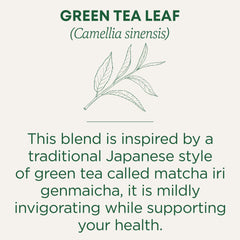 Traditional Medicinals compostable tea bag close-up highlighting convenient brewing and eco-friendly design