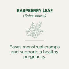 Traditional Medicinals brewed cup of raspberry leaf tea offering a soothing drink