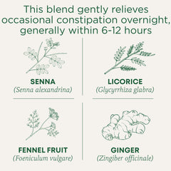 Traditional Medicinals warm cup in hand conveying soothing bedtime routine