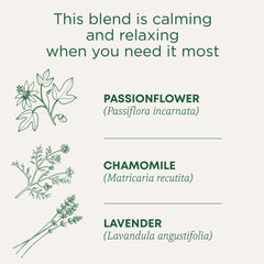 Traditional Medicinals single compostable tea bag closeup showing tag and texture