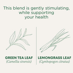 Traditional Medicinals single compostable tea bag close-up for easy brewing