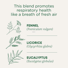 Traditional Medicinals tea bag close-up highlighting compostable wrapper convenience