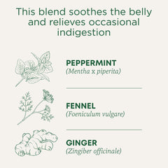 Traditional Medicinals tea bag close-up with compostable material highlighting eco-friendly use