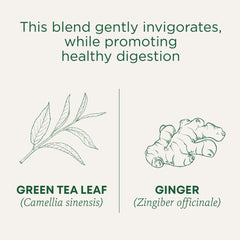 Traditional Medicinals open box with stacked tea bags for long-lasting supply benefit
