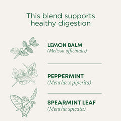 Traditional Medicinals tea bag close-up displaying compostable material and purity benefit
