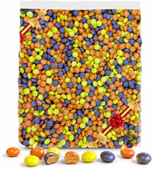 TREATBASKET front packaging showing 5 lb bag and colorful candies for bulk use