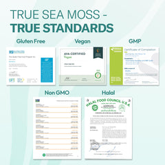 TrueSeaMoss gel blended into tropical smoothie for quick nutrition boost benefit