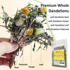 T'SMOMENT root detail photo highlighting whole dandelion root texture and deep earthy flavor