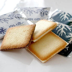 TSTADVANCE Shiroi Koibito cookie cross-section showing white and dark chocolate filling