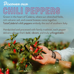 TUTTOCALABRIA peppers served on antipasti platter, adds spicy depth and visual appeal