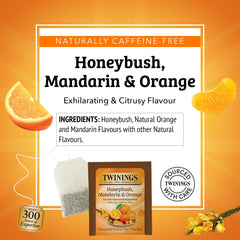 Twinings iced tea pitcher with citrus garnish refreshing cold serve idea