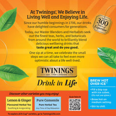 tall glass of Twinings iced rooibos with ice and lemon showing refreshing summer drink
