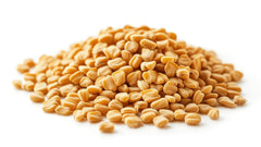U.S. Wellness Naturals fenugreek seeds close-up showing texture and fresh aroma preservation