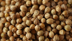 U.S. Wellness Naturals wooden spoon of coriander seeds showing portion size and cooking convenience
