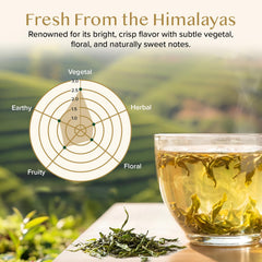VAHDAM steaming cup of brewed green tea demonstrating aroma