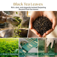VAHDAM loose Darjeeling leaves close-up revealing whole-leaf quality and aroma