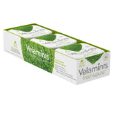 Velamints front tin showing brand and spearmint label, easy identification benefit