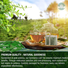 VERDIVIBE loose cold-dried Gymnema leaf texture for fresh aroma