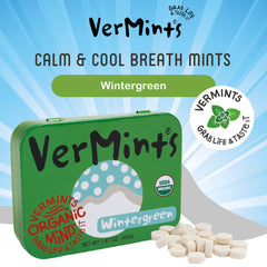 Vermints wintergreen tin in hand illustrating pocket-sized travel convenience