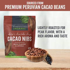 Viva Naturals cacao nibs in a spoon showing scoop and portion control