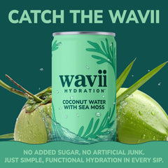 Wavii close-up of wild-harvested sea moss texture highlighting natural mineral content