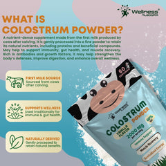 WELLNESS LABSRX scoop added to smoothie glass for convenient intake