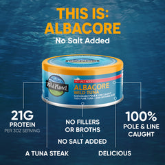 Wild Planet tuna steak close-up texture highlighting firm, hand-packed flesh and rich flavor