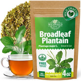 WILDFIELD HERBS front packaging showing boxed 4 oz plantain tea for easy storage