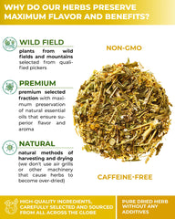 WILDFIELD HERBS detailed view of goldenrod stems and flowers showing quality of cut