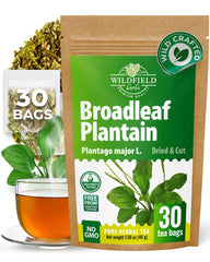 WILDFIELD HERBS boxed plantain tea front view showing compact packaging and freshness