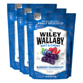WILEY WALLABY front packaging showing blueberry pomegranate flavor and benefit fresh resealable