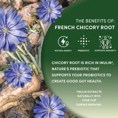 Worldwide Botanicals brewed chicory in cup demonstrating rich color and smooth taste