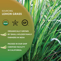 Worldwide Botanicals lemongrass steeping in soup pot showing infused broth and culinary depth benefit