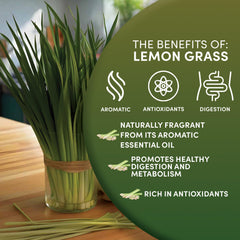 Worldwide Botanicals brewed lemongrass tea in cup showing pale yellow color and soothing aroma benefit