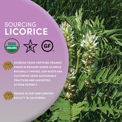 Spoonful of licorice root next to a ruler showing portion size and precise measurement advantage