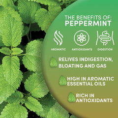 Worldwide Botanicals brewed peppermint tea in a cup showing bright infusion and refreshing flavor benefit