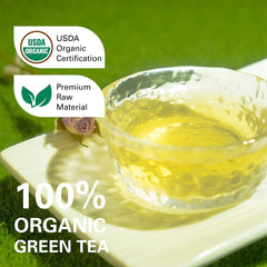 WT WEETEE close-up of a wood-pulp tea bag highlighting clean infusion and easy disposal