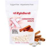 Xyloburst front packaging showing cinnamon mints and 1000 count convenience