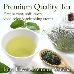 YAMASAN KYOTO UJI brewed cup with bright yellow-green color and clarity