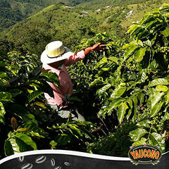 Yaucono brewed cup with deep crema showcasing robust flavor