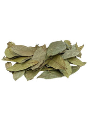 Yerbero brewed graviola tea in cup displaying clear amber color and inviting aroma