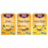 Yogi front packaging of ginger variety sampler showing three cartons and branding benefit convenience