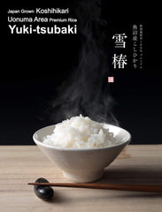 Yuki Tsubaki close-up of polished Koshihikari grains highlighting texture