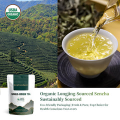 ZenVerdant steaming brewed cup highlighting smooth, comforting sip