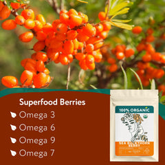 Zhivana Organics whole dried sea buckthorn berries close-up showing bright color and potency