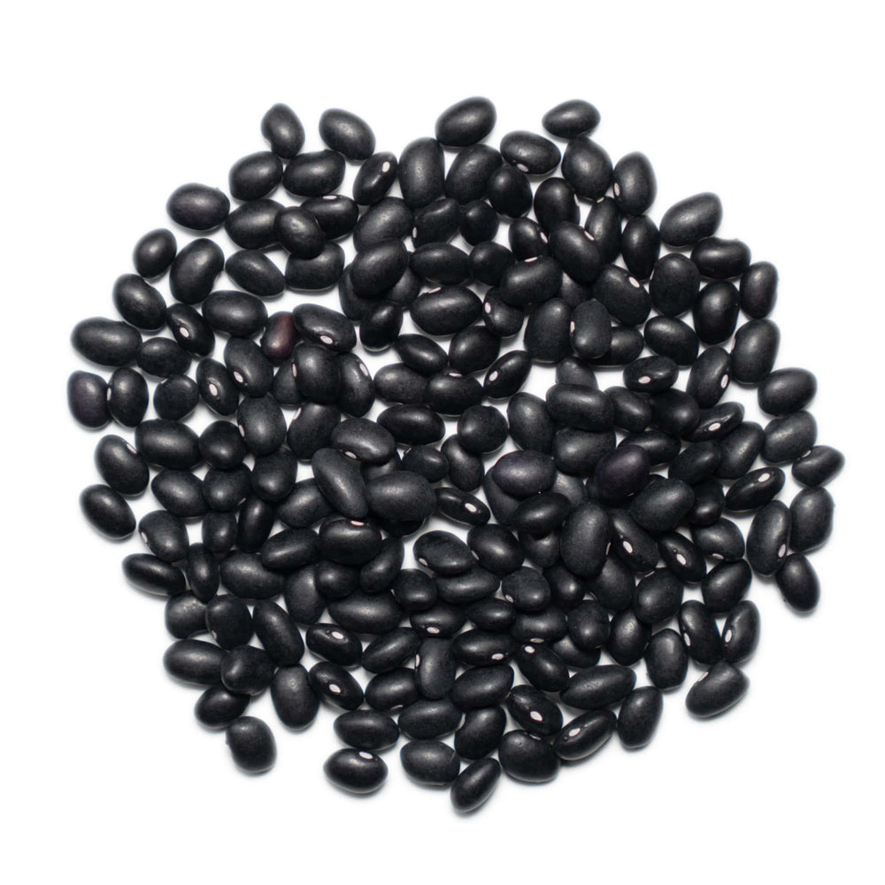 1000 Springs Mill beans in kitchen prep scene, illustrates meal prep practicality and value