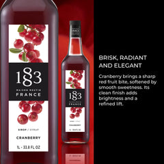 1883 MAISON ROUTIN used in iced cranberry mocktail illustrating bright color and refreshment