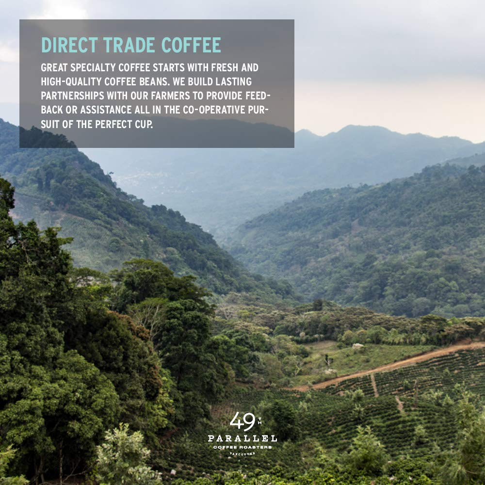 49th Parallel pour-over setup showing versatile brewing options