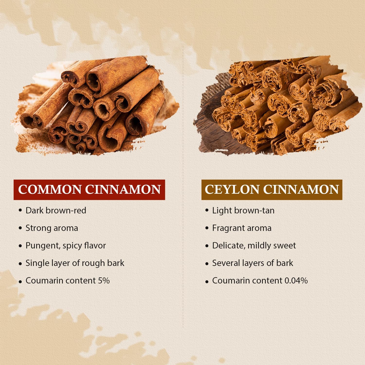 52USA cinnamon sticks styled on kitchen counter, inspires culinary use