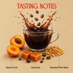 Abbotsford Road pour-over brewing highlighting clarity and vibrant fruit notes